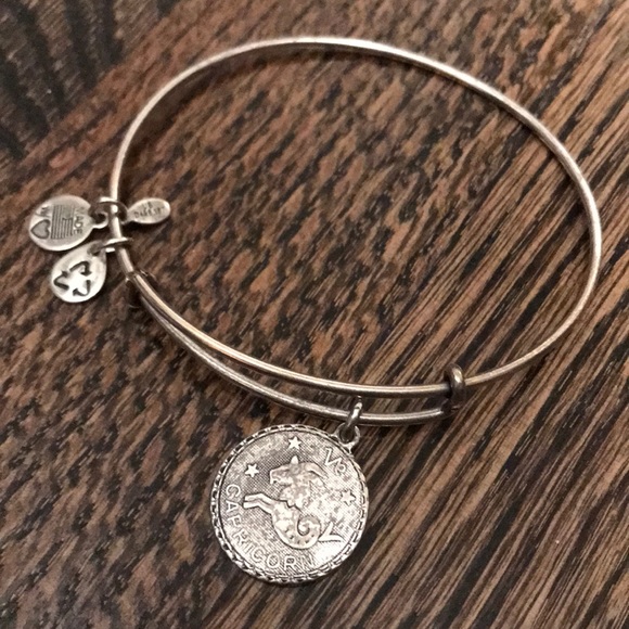 Alex and Ani Capricorn Silver Charm Bracelet - Picture 1 of 1